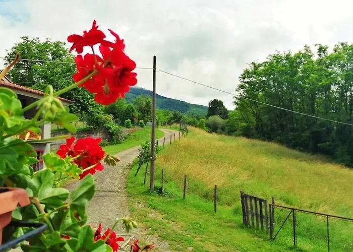 度假居 Casa Di Anita Bedonia