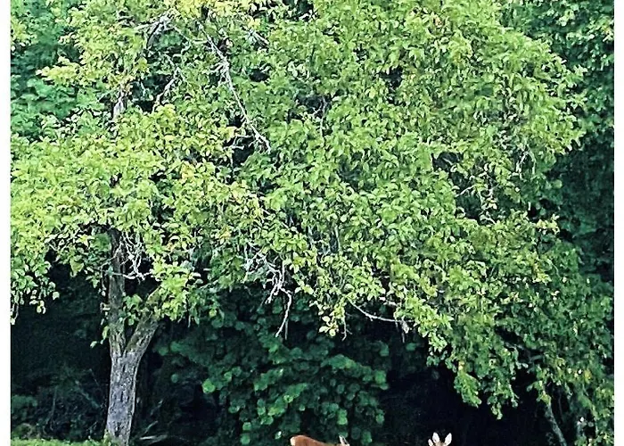 Casa Di Anita 度假居 Bedonia