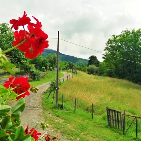Casa vacanze Casa Di Anita Bedonia