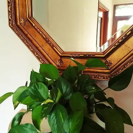 בית נופש Casa Di Anita