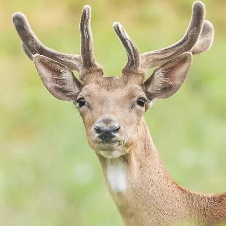 Casa Di Anita Bedonia