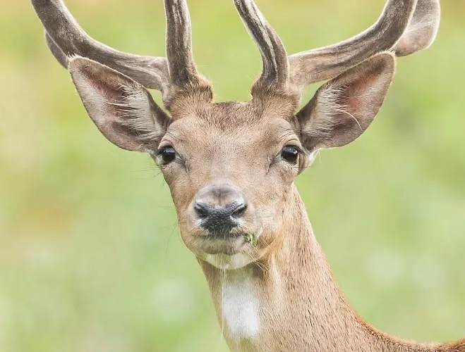 Casa Di Anita Bedonia
